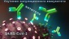 Оценка популяционного иммунитета к COVID-19 и бесплатное тестирование на антитела к SARS-CoV-2 