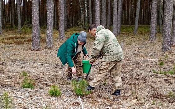 pravookhraniteli-prinyali-uchastie-v-aktsii-les-dabro-paradak-_3