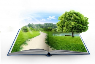 Пройдёт конкурс на лучшую публикацию на экологическую тематику 