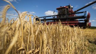 Жатва-2025: кто в числе лучших тружеников