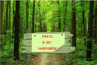 СНОВА ОГРАНИЧЕНО ПОСЕЩЕНИЕ ЛЕСОВ