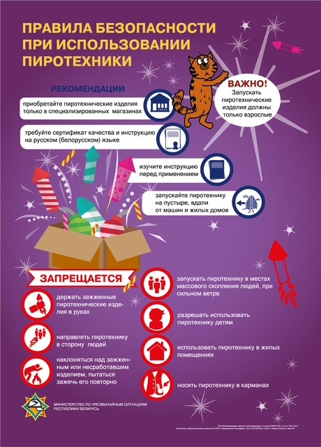 respublikanskaya-aktsiya-bezopasnyy-novyy-god-proydet-s-15-dekabrya-2025-po-7-yanvarya-2026_1