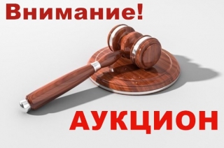 85 лотов
выставлены комитетом госимущества Витебского облисполкома на аукционы в декабре