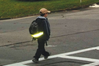 Специальное комплексное мероприятие «Пешеход» проходит в Бешенковичском районе