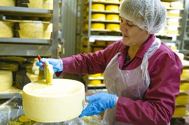 Для производства сыров элитной группы Верхнедвинский маслосырзавод использует сырье экстра-класса