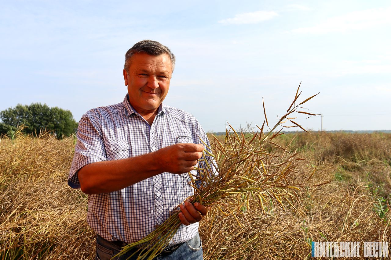 Водитель-тысячник из Дубровенского района Александр Батян: «Стараемся не ради рекордов, а чтобы получить максимум урожая»