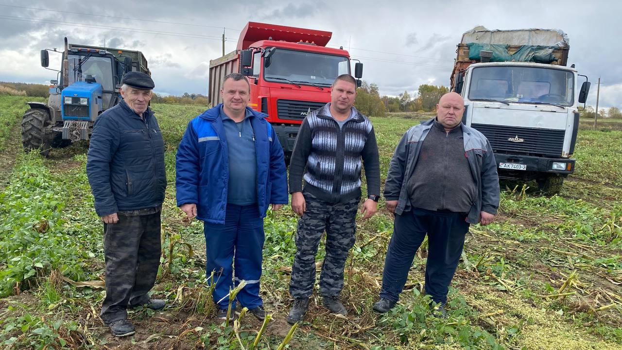 В Бешенковичском районе продолжается уборка кукурузы на силос