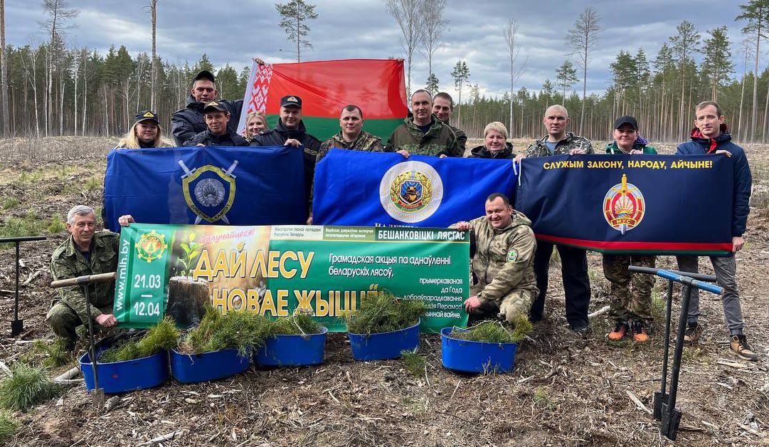 К республиканской добровольной акции «Дай лесу новае жыццё!» присоединяется все больше бешенковичан
