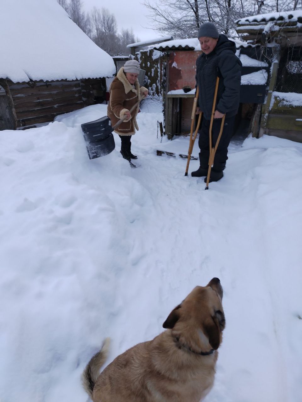 bolee-140-dvorov-raschistili-sotsialnye-rabotniki-beshenkovichskogo-rayona-posle-tsiklona-ulli-_0