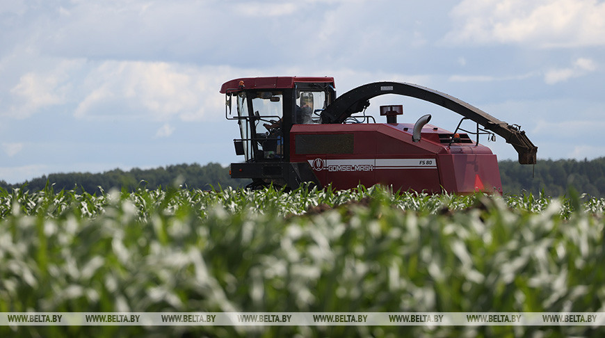 Облсельхозпрод: в течение полугода в Витебской области дополнительно закупят сельхозтехнику на Br39 млн