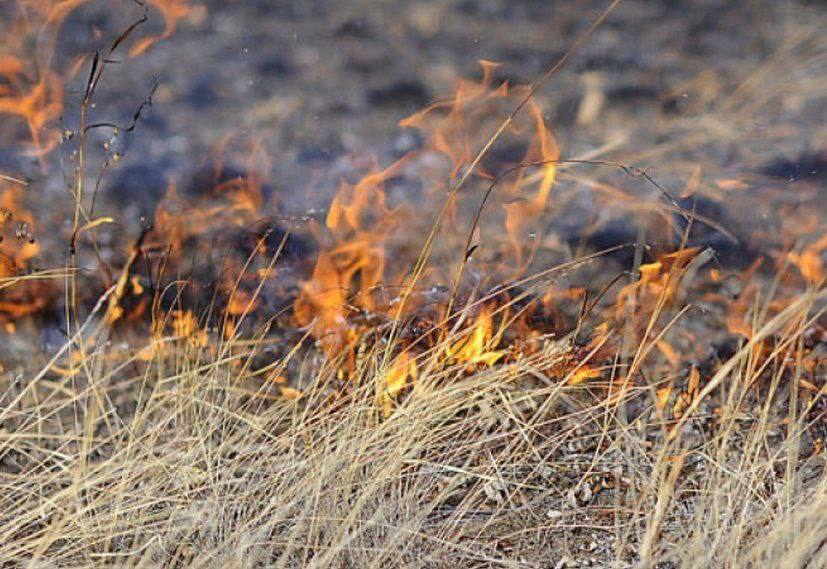 В Витебской области зафиксирован первый пожар из-за выжигания сухой растительности