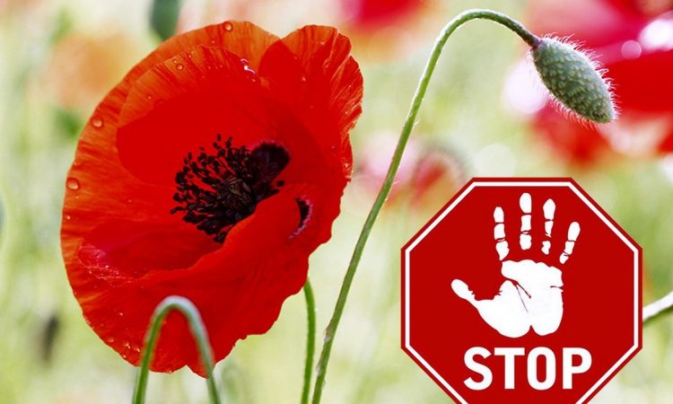 В Бешенковичском районе стартовала операция «Мак»