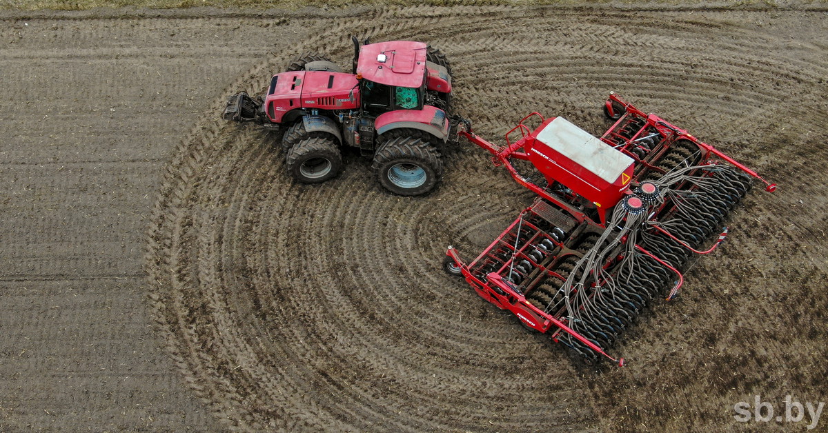 В Витебской области ранние зерновые посеяны на 11 % от запланированных площадей