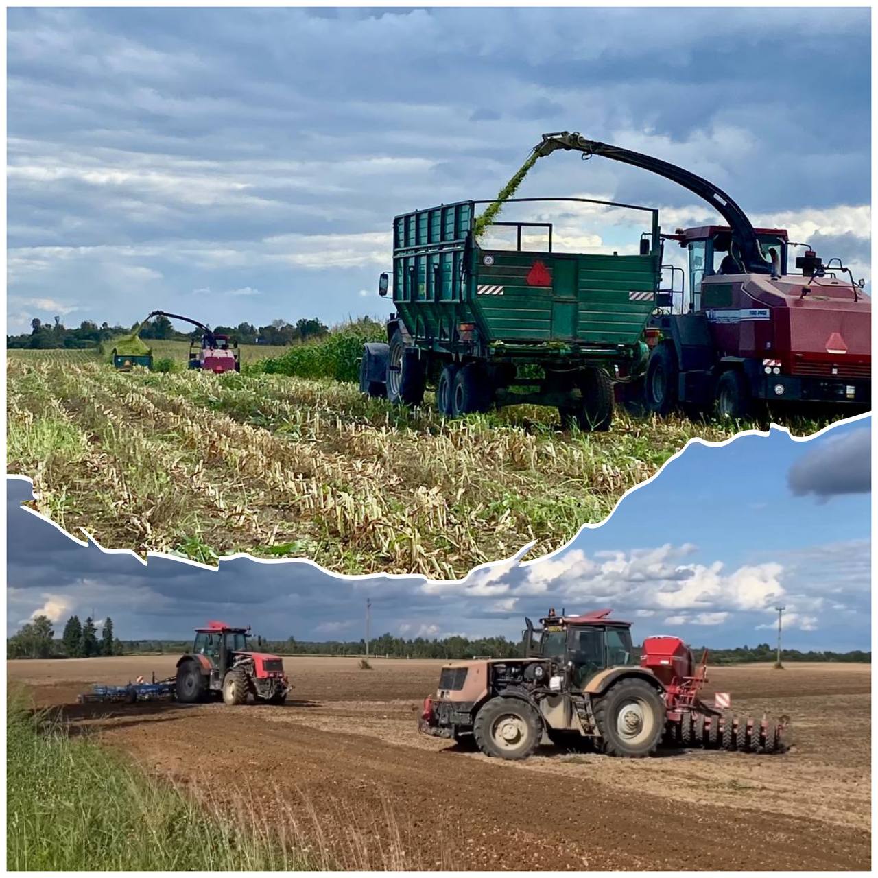 Новости с полей! 