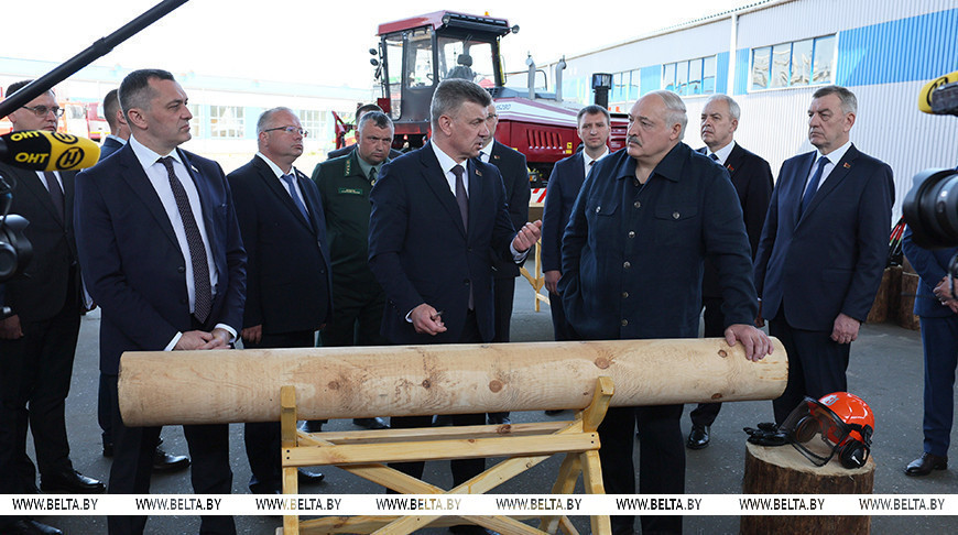 Лукашенко про финансовые показатели деревообработки: там наши деньги и перспектива