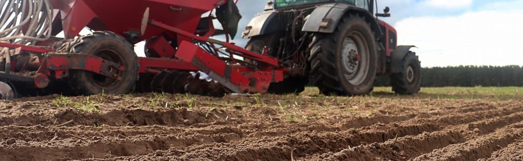 68,8 процента площадей в Бешенковичском районе уже заправлены зерном