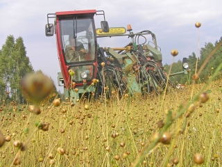 ВОСЕНЬ – РАБОТ ВОСЕМ