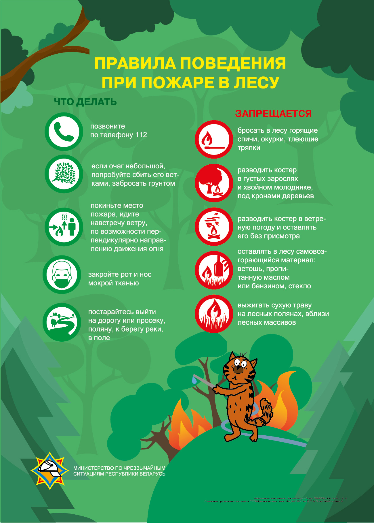 anons-spetsialnogo-profilakticheskogo-meropriyatiya-zelenyy-shchit062026_1