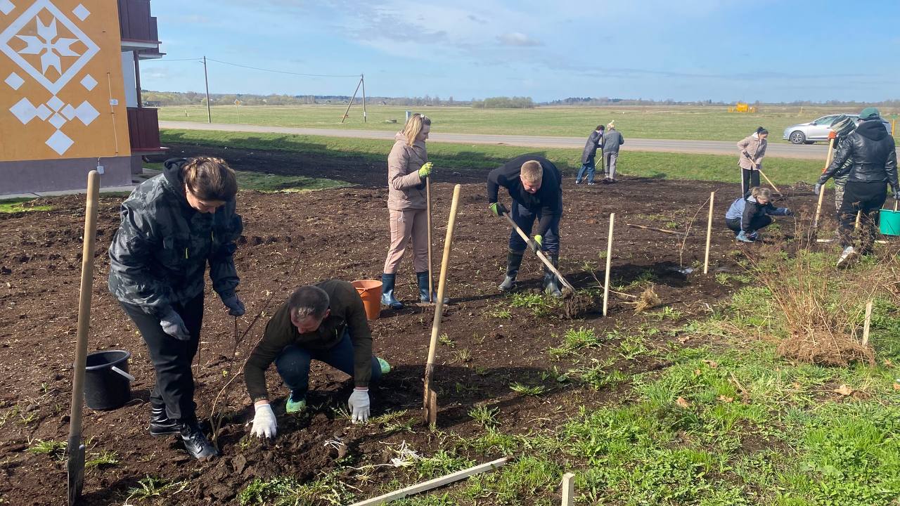 В Бешенковичском районе прошел республиканский субботник