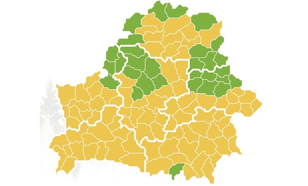 Ограничение на посещение лесов введено в Бешенковичском районе со вчерашнего дня