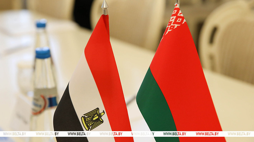 Лукашенко подтвердил готовность Беларуси к углублению взаимодействия с Египтом