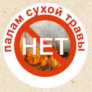 Не жгите сухую траву!!!