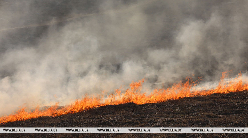 "Каждую весну соседи жгут прошлогоднюю траву". Разрешены ли палы и как избежать опасности?
