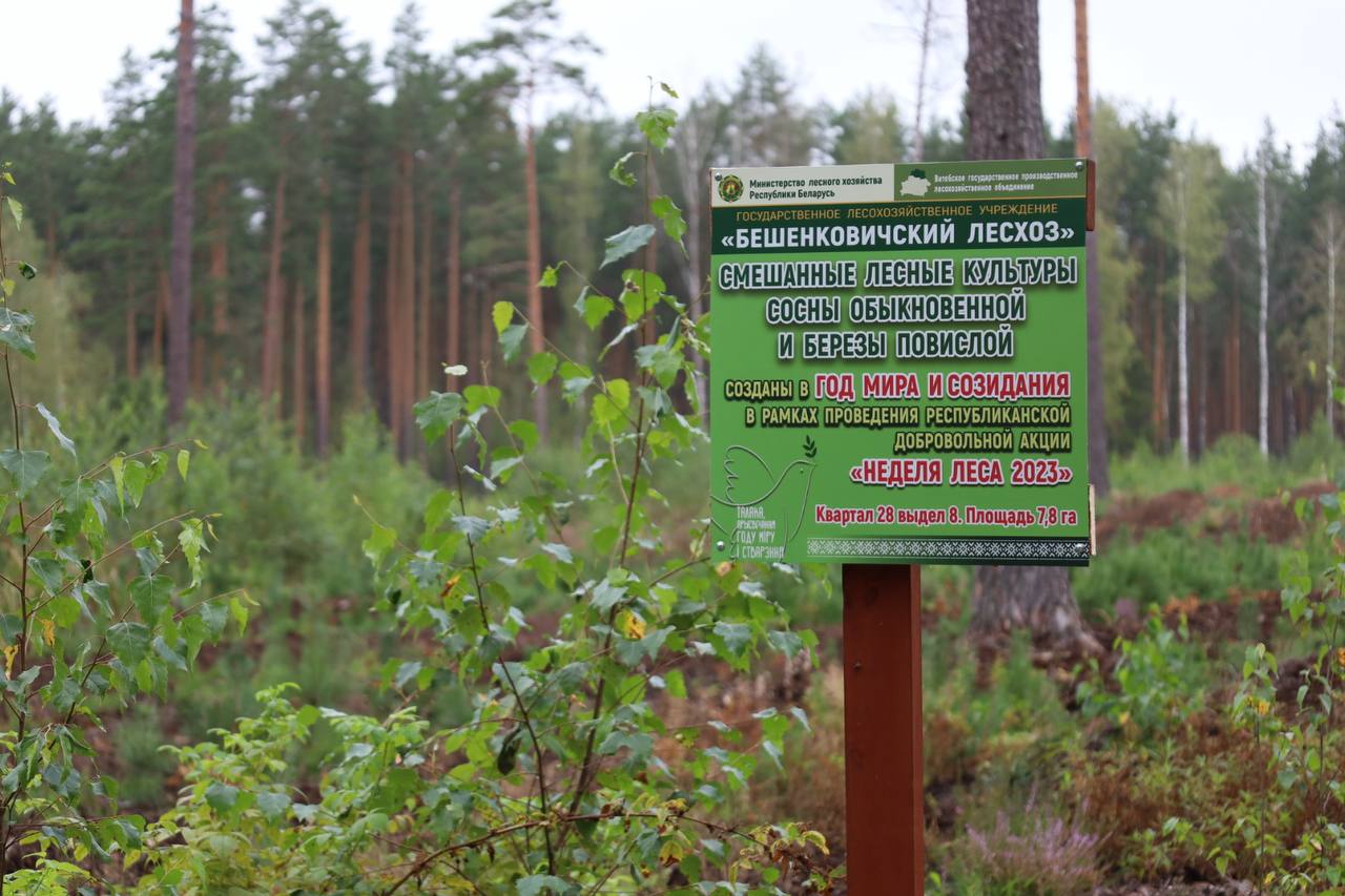 В Бешенковичах прошло выездное заседание коллегии Министерства лесного хозяйства Республики Беларусь