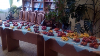 ПАРАД ТОМАТОВ - 2016