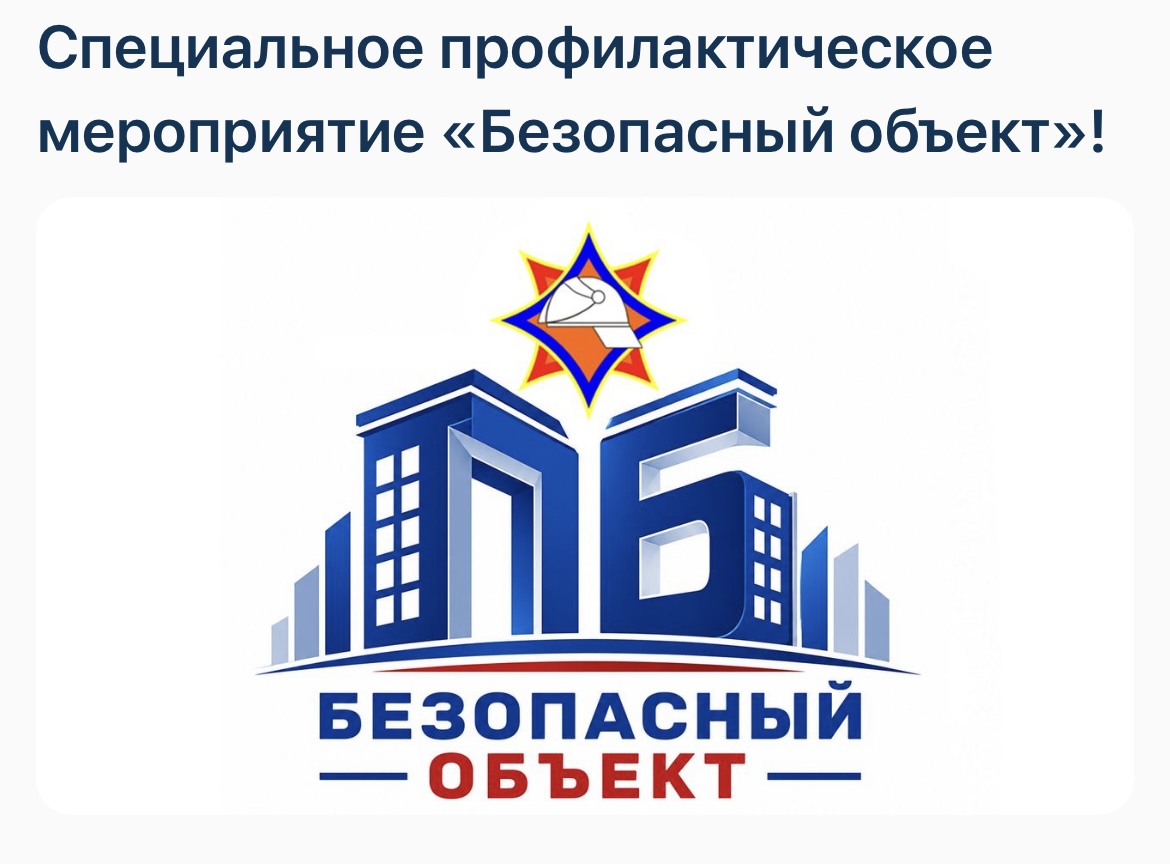 anons-spetsialnogo-profilakticheskogo-meropriyatiya-bezopasnyy-obekt_0