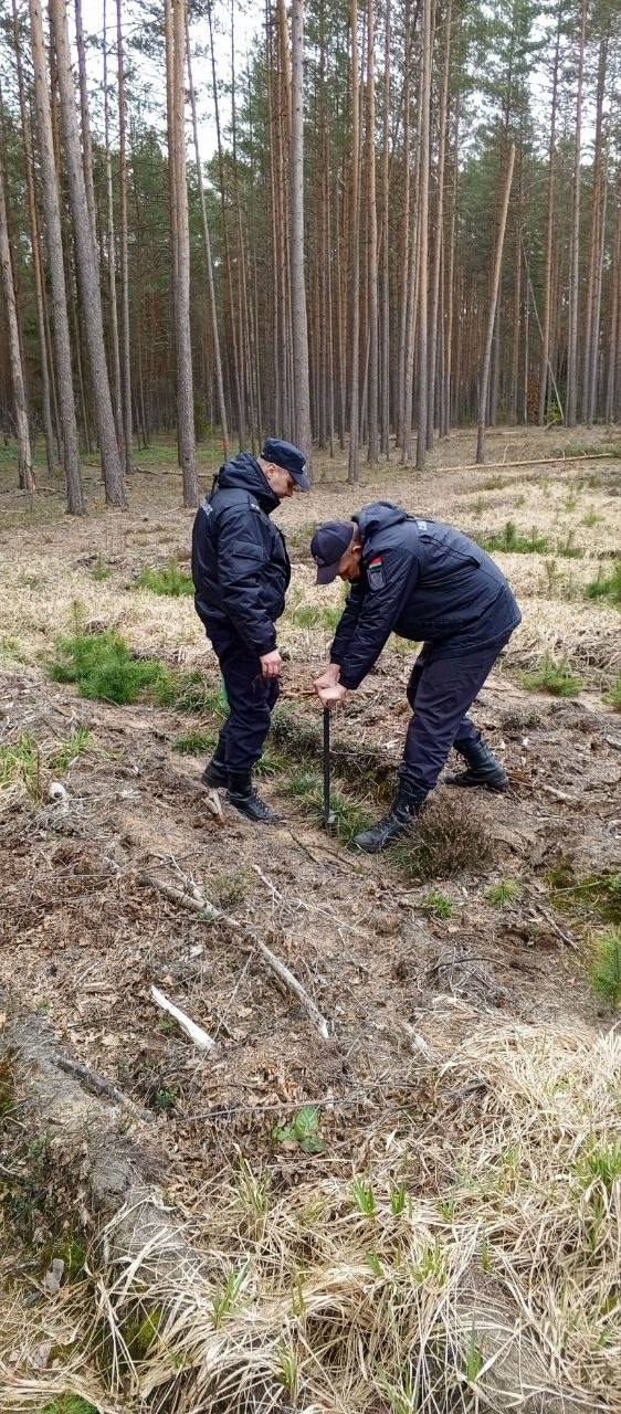 pravookhraniteli-prinyali-uchastie-v-aktsii-les-dabro-paradak-_2