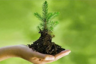 ДОБРОВОЛЬНАЯ АКЦИЯ "АДНАВІМ ЛЯСЫ РАЗАМ"