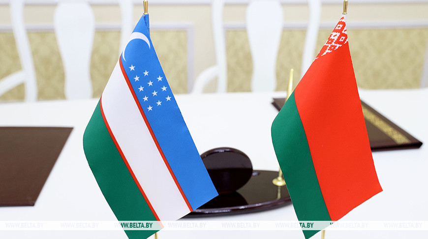Belarus shares NPP construction expertise with Uzbek delegation