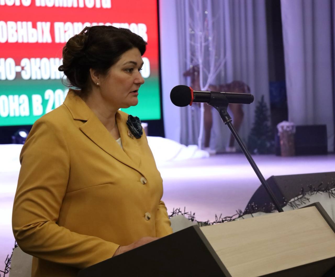 itogovaya-sessiya-rayonnogo-soveta-deputatov-proshla-v-beshenkovichakh_2