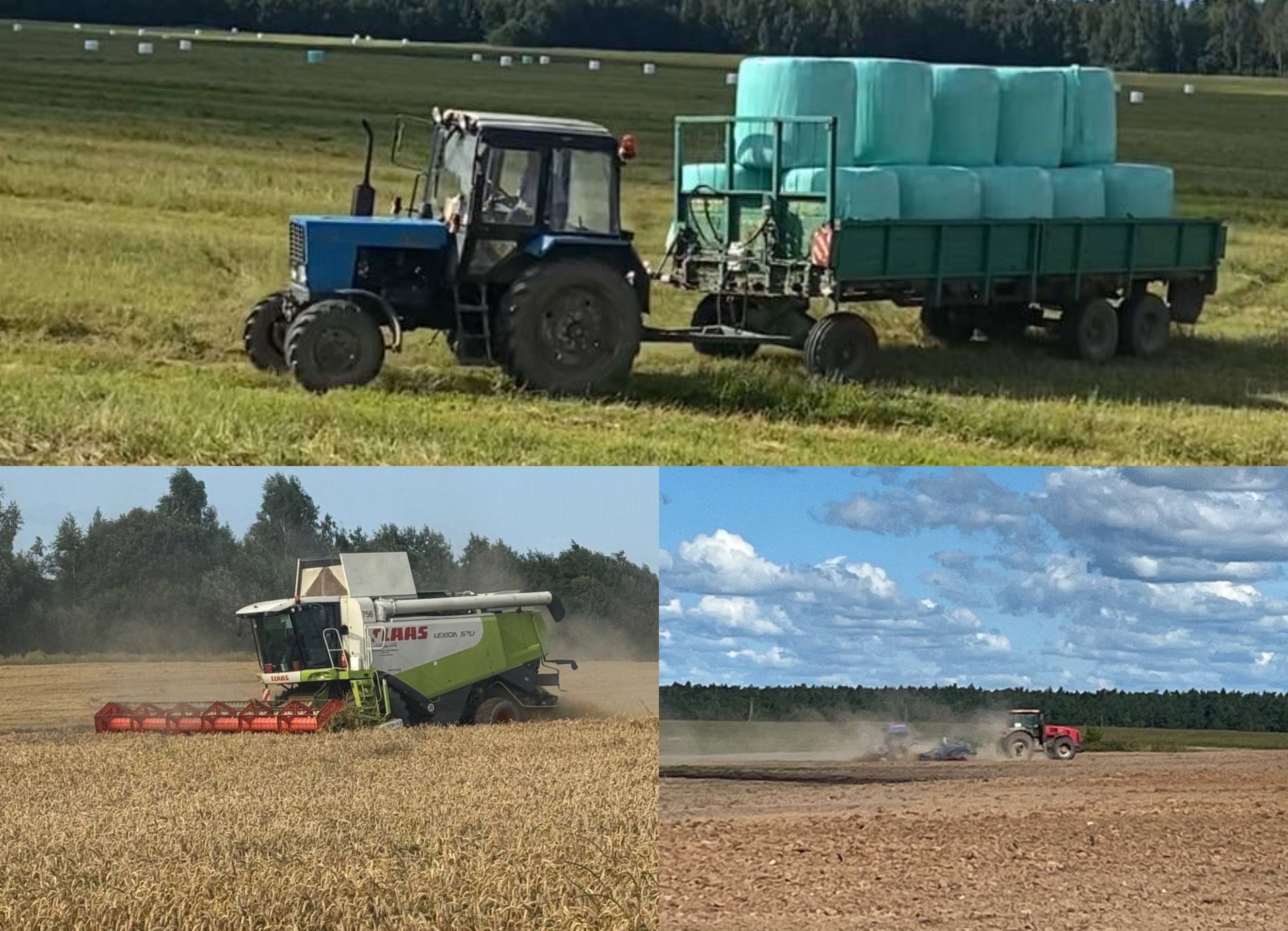 Вести с полей: в районе продолжается активная уборка урожая и заготовка кормов