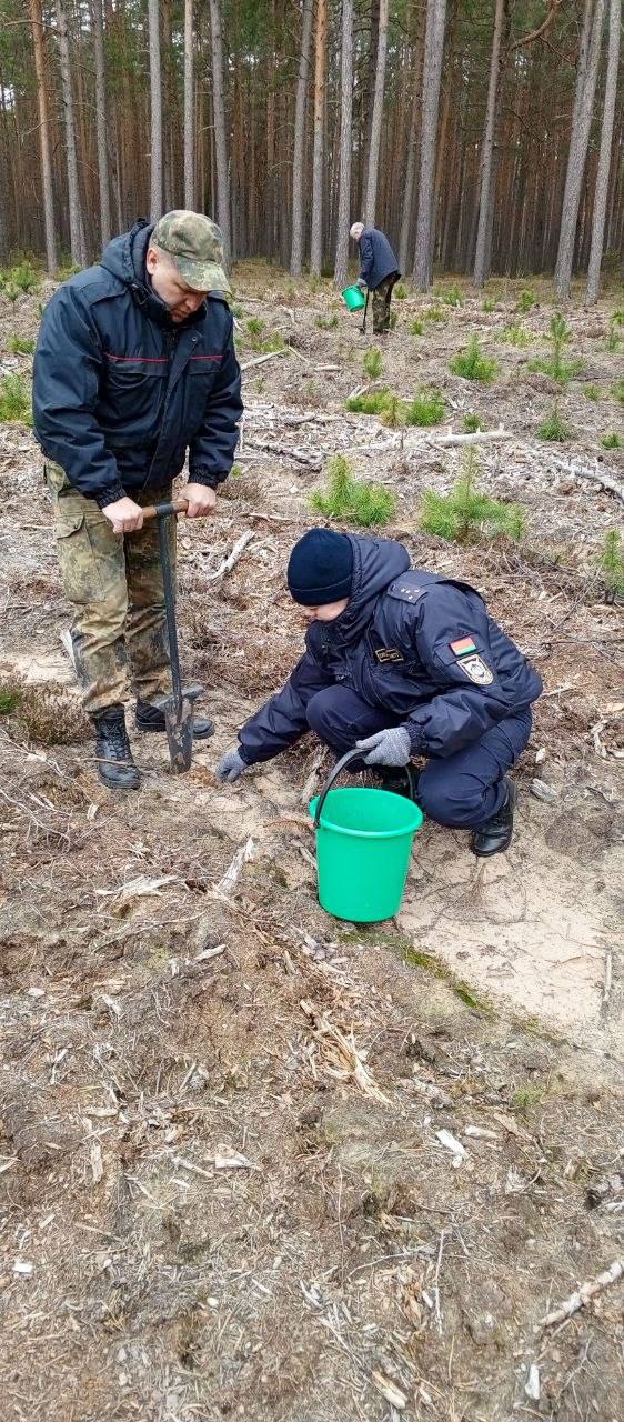 pravookhraniteli-prinyali-uchastie-v-aktsii-les-dabro-paradak-_1