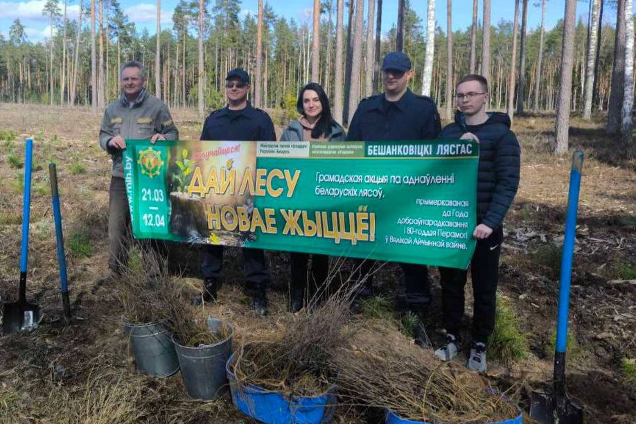 Сотрудники прокуратуры Бешенковичского района приняли участие в добровольной общественной акции «Дай лесу новае жыццё!»