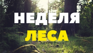 Неделя леса – 2018